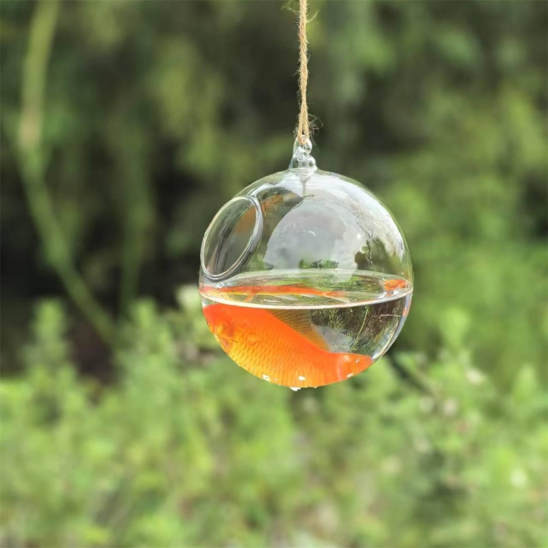 Aquarium - Mały średnica opakowania = 10cm 12cm