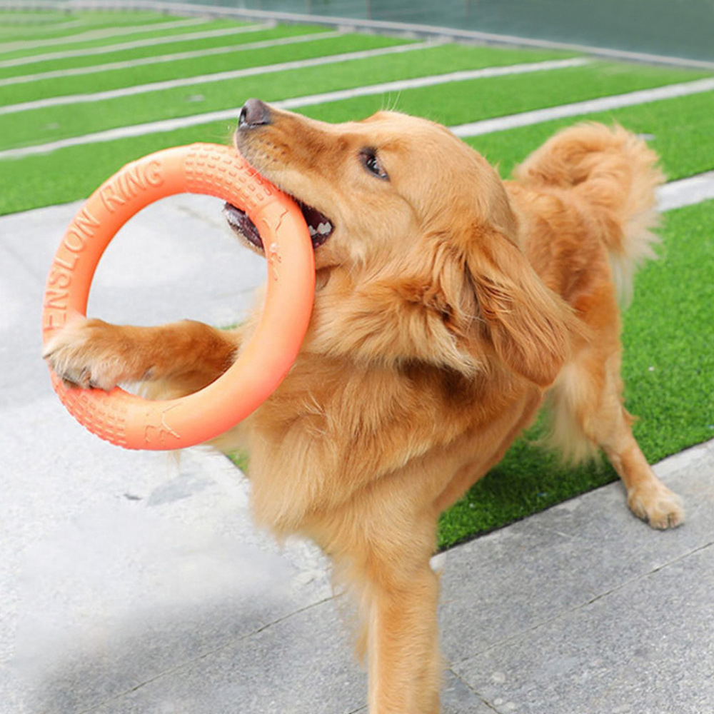 1 szt. Pomarańczowy zabawki dl – Suction Cup Dog Tug Toy recenzja i cena