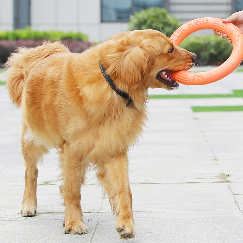 1 szt. Pomarańczowy zabawki dl – Suction Cup Dog Tug Toy recenzja i cena