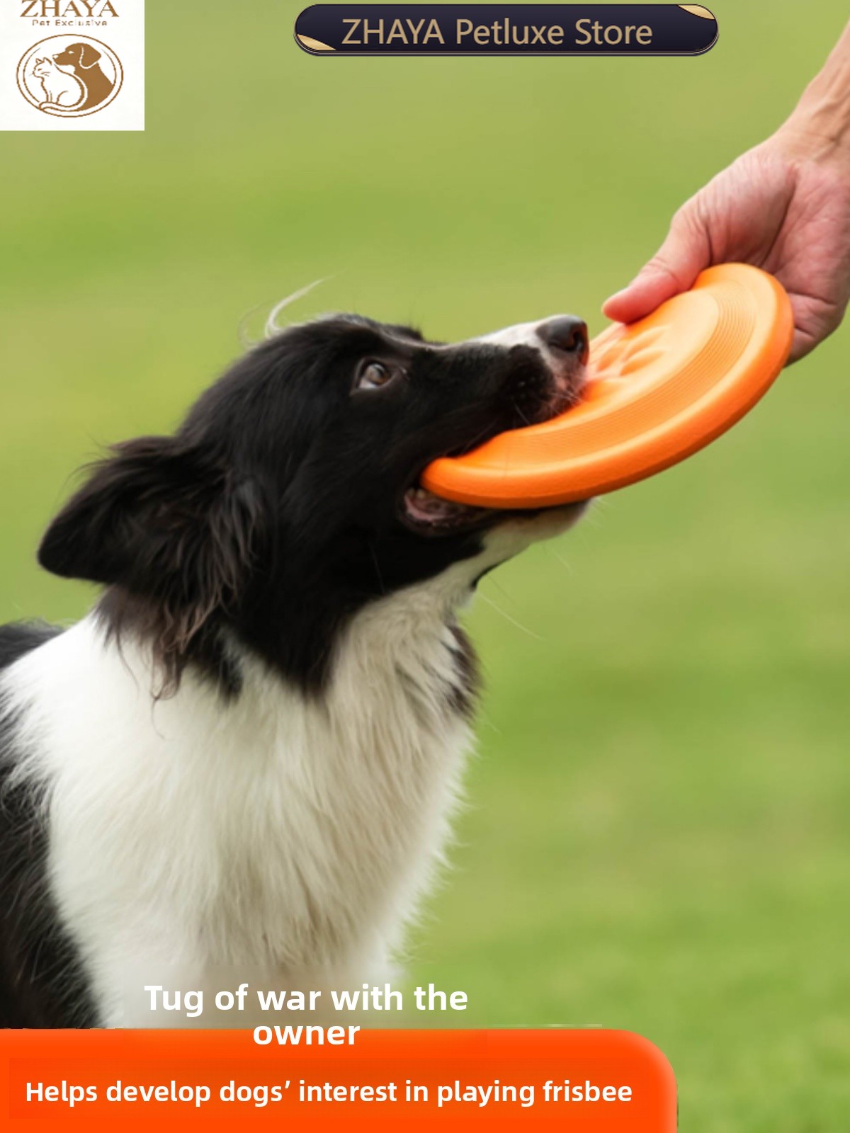 Latający dysk dla psa, miękki, – Flying Disc Dog Training Toy recenzja i cena