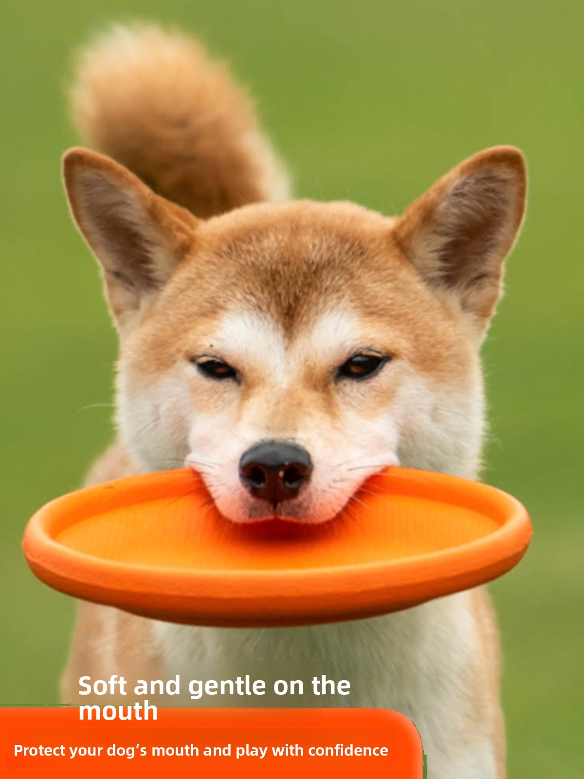 Latający dysk dla psa, miękki, – Flying Disc Dog Training Toy recenzja i cena