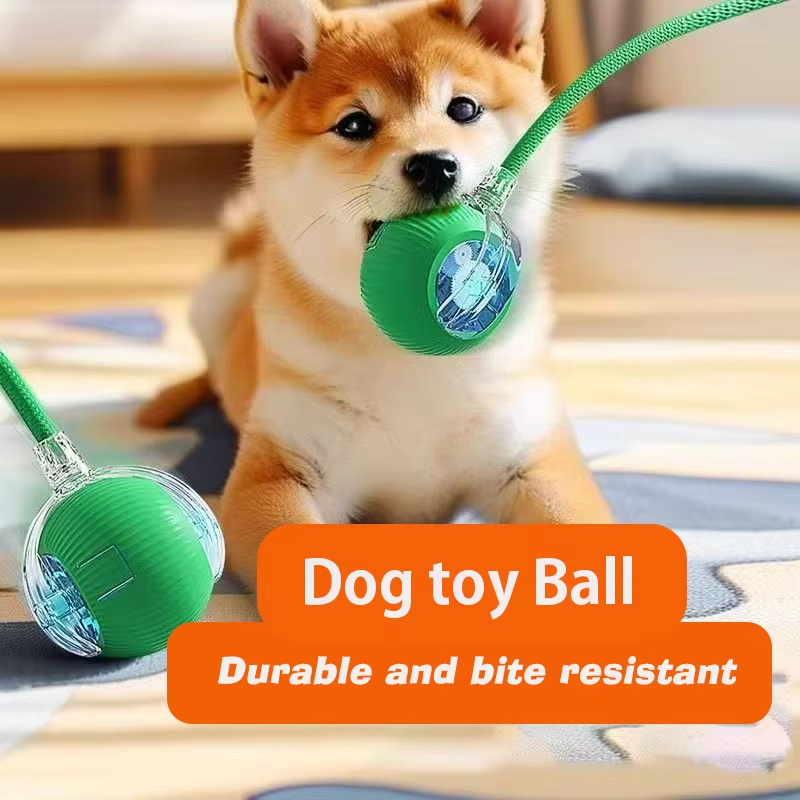 Nowa interaktywna piłka dla ps – Automatic Moving Dog Ball recenzja i cena