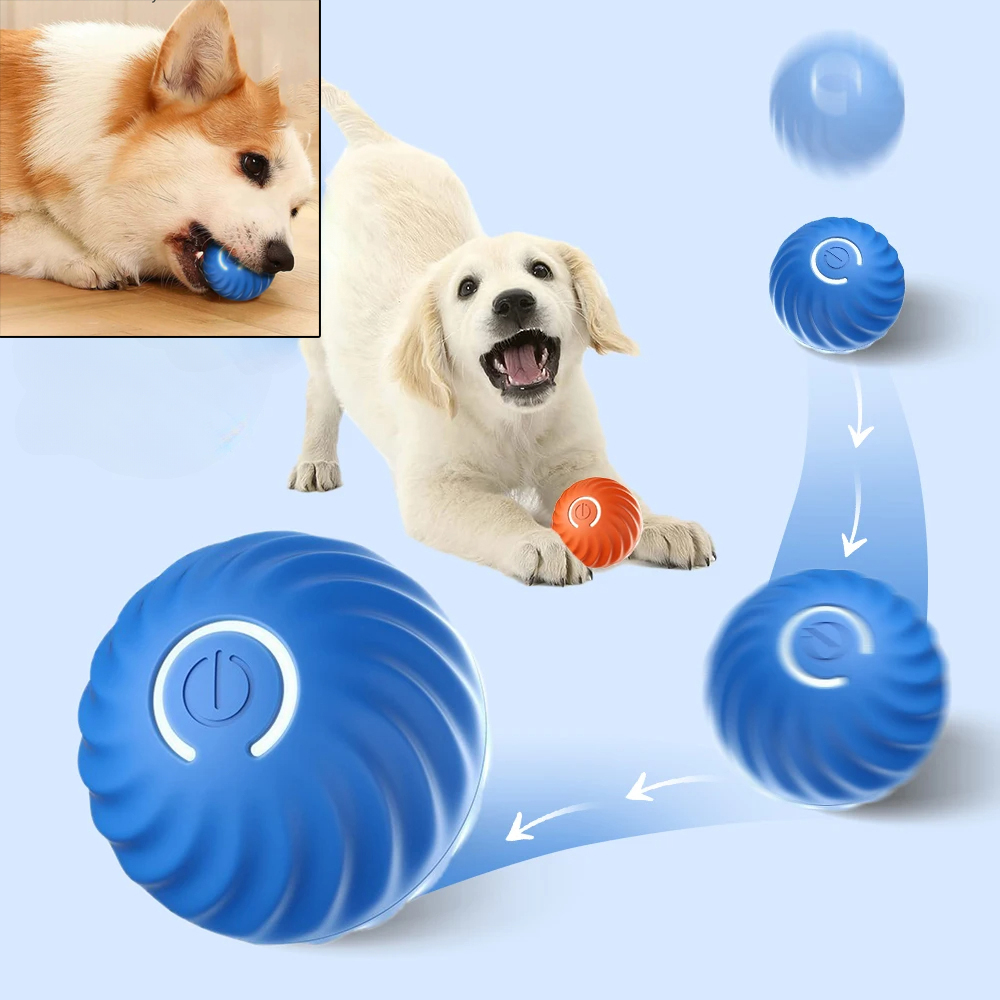 Piłka dla psa, automatycznie s – Suction Cup Dog Tug Toy recenzja i cena