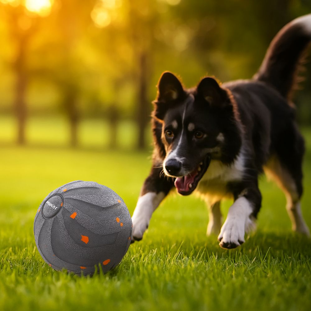 Odporna na ugryzienia intelige – Automatic Moving Dog Ball recenzja i cena
