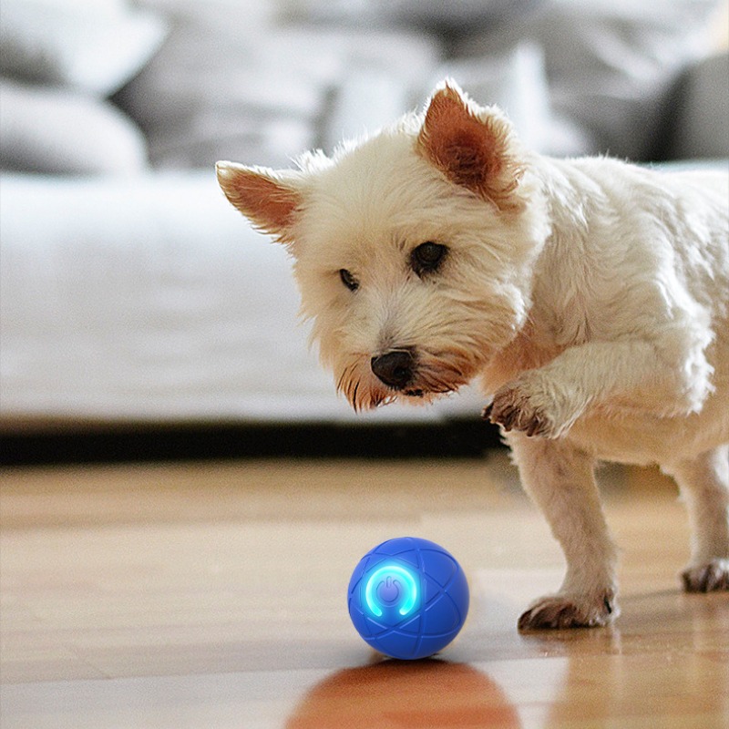 Inteligentna zabawka dla psa P – Suction Cup Dog Tug Toy recenzja i cena