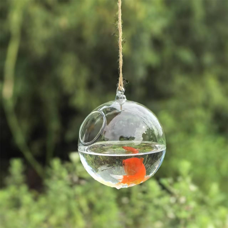 Mały średnica opakowania = 10c – Aquarium recenzja i cena