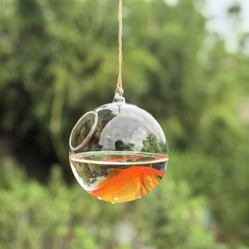 Mały średnica opakowania = 10c – Aquarium recenzja i cena