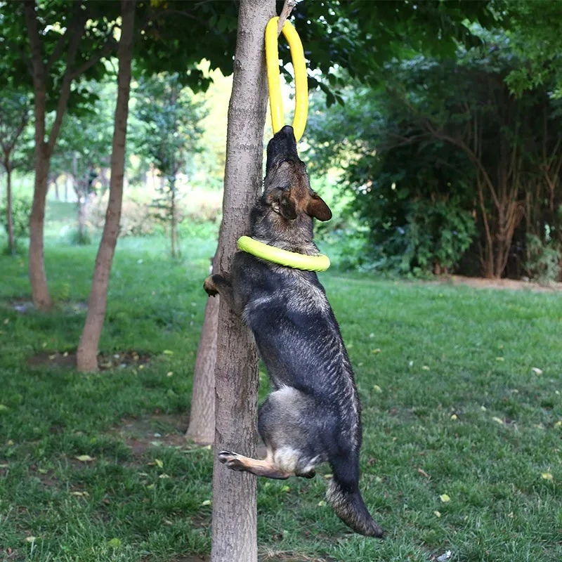 Zabawki dla psów latające dysk – Suction Cup Dog Tug Toy recenzja i cena