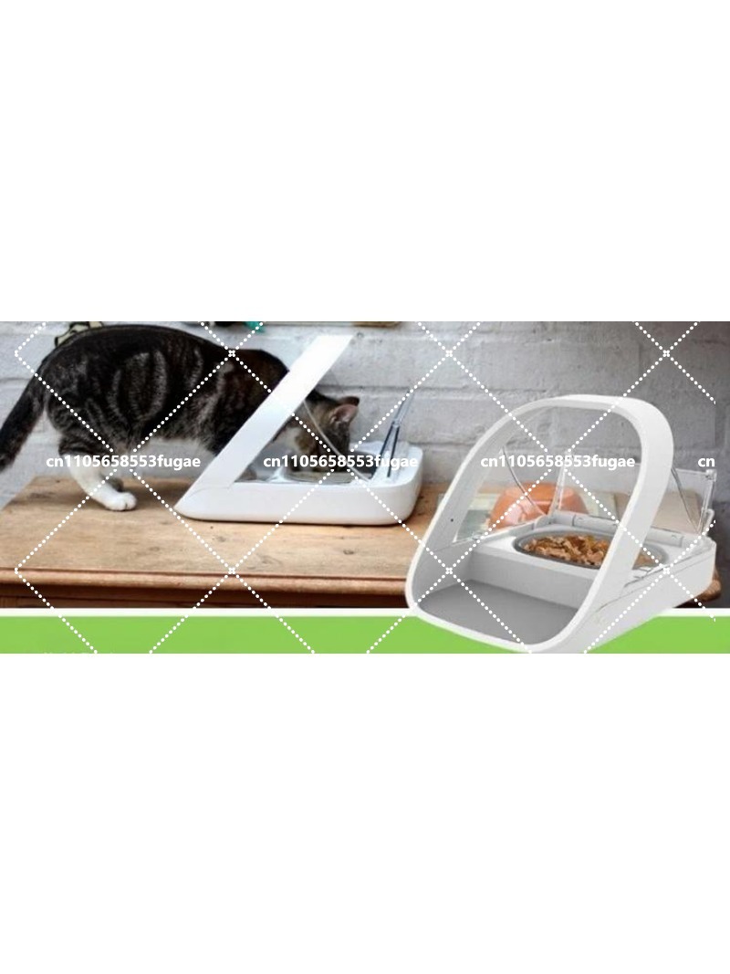 NOWY Automatyczny podajnik z c – Pet Feeders recenzja i cena