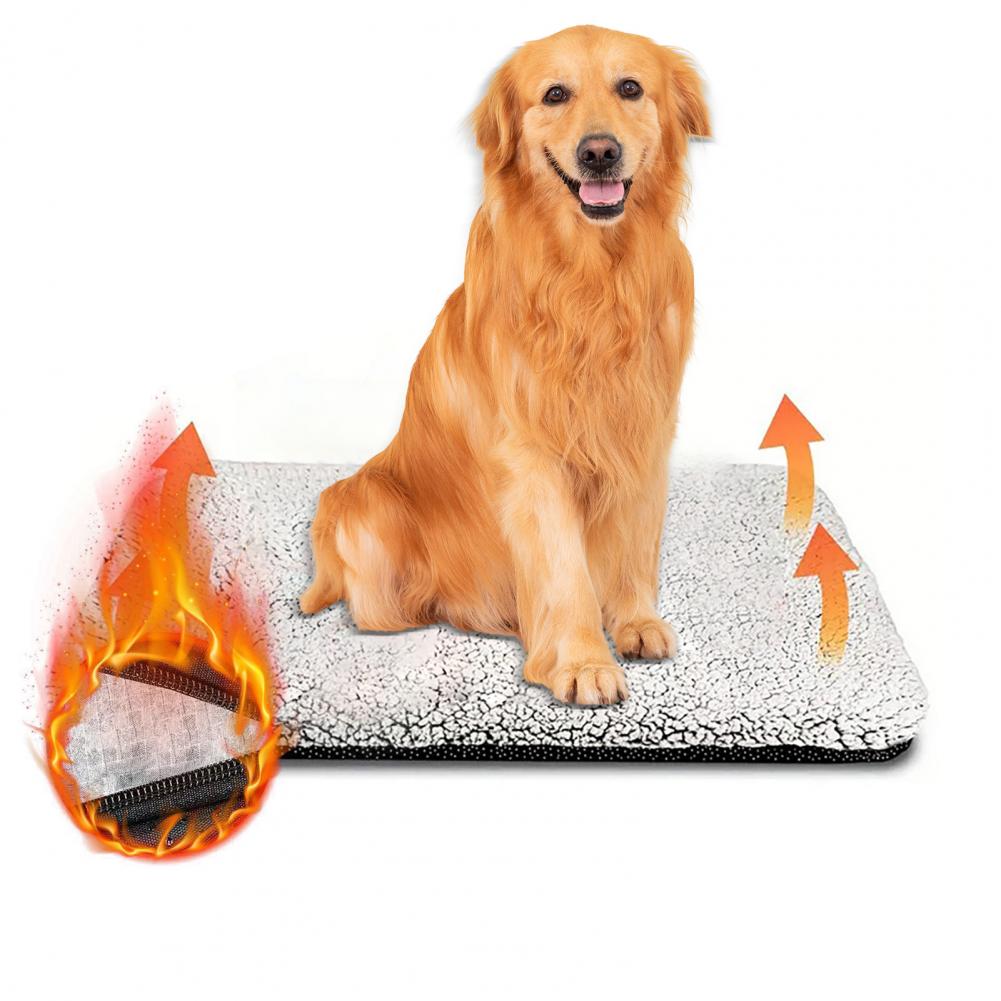 Podgrzewana mata dla zwierząt, – Pet Beds recenzja i cena