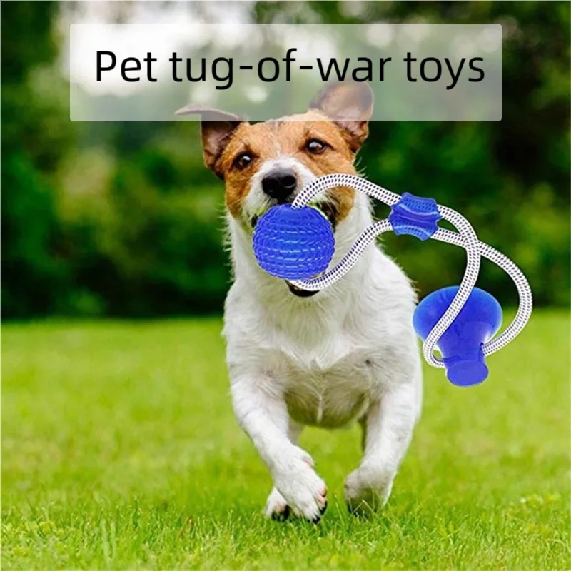 Wytrzymała zabawka dla psa z p – Suction Cup Dog Tug Toy recenzja i cena
