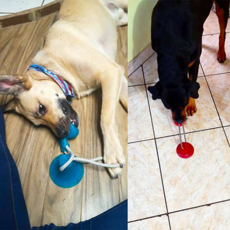 Wytrzymała zabawka dla psa z p – Suction Cup Dog Tug Toy recenzja i cena