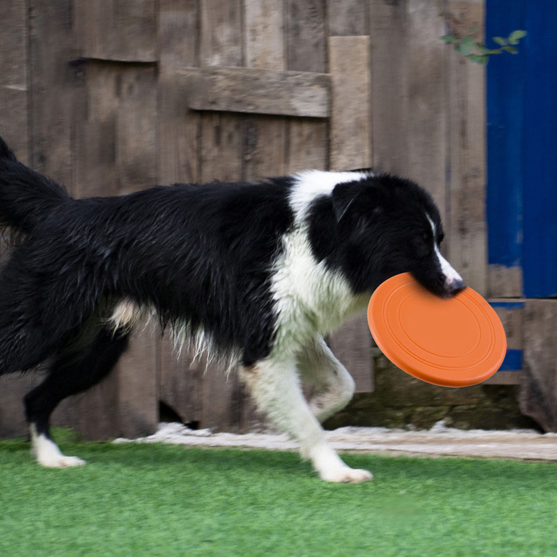 Silikonowy latający spodek Zab – Flying Disc Dog Training Toy recenzja i cena