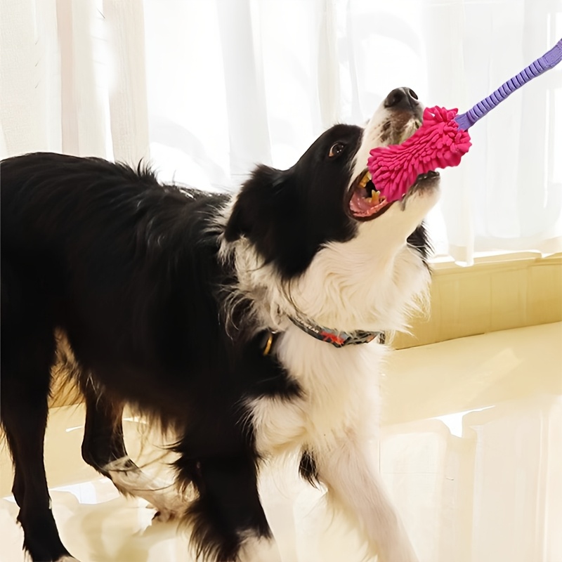 Wytrzymałe zabawki dla psów dl – Suction Cup Dog Tug Toy recenzja i cena