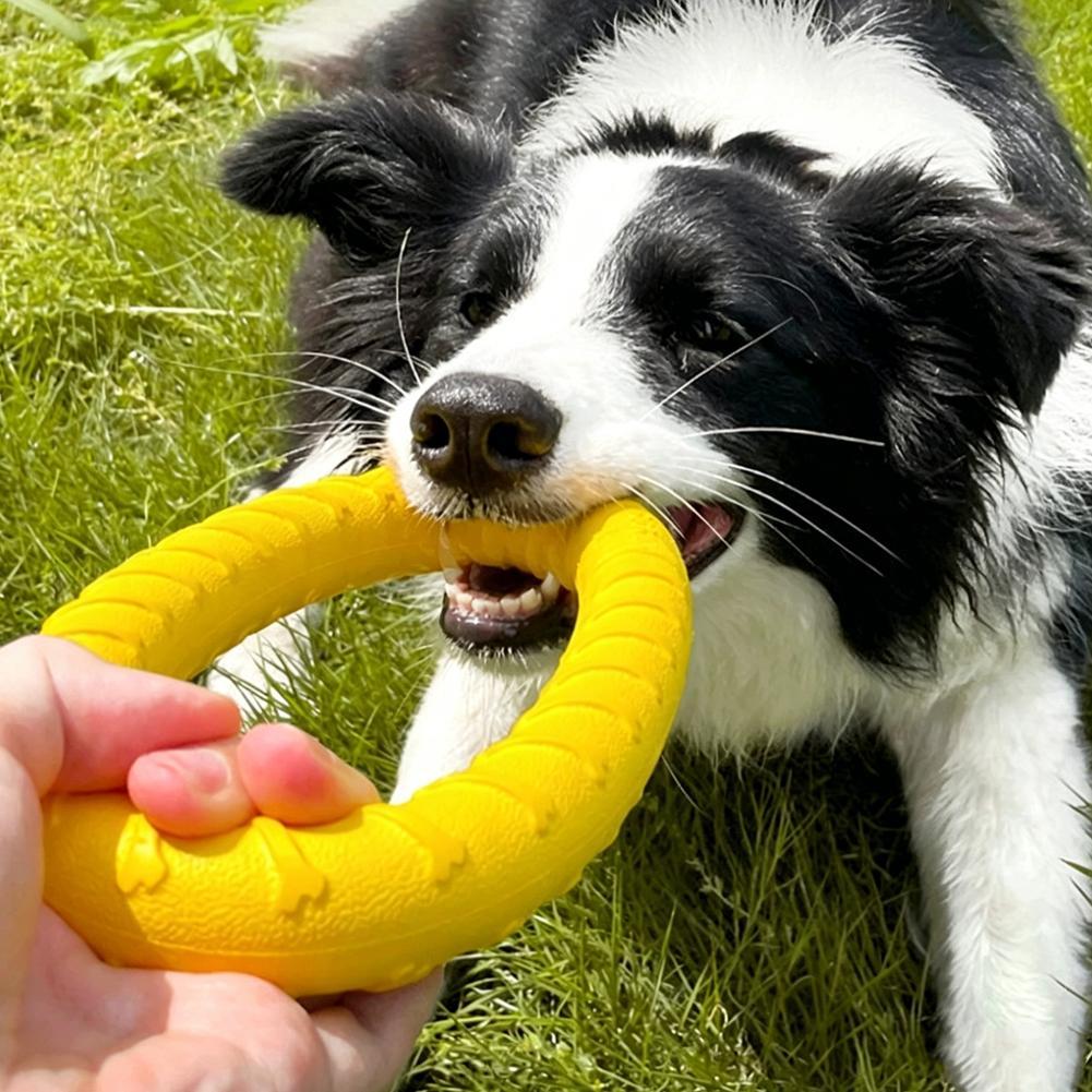 Zabawki dla psów w formie pier – Indestructible Dog Chew Toy recenzja i cena