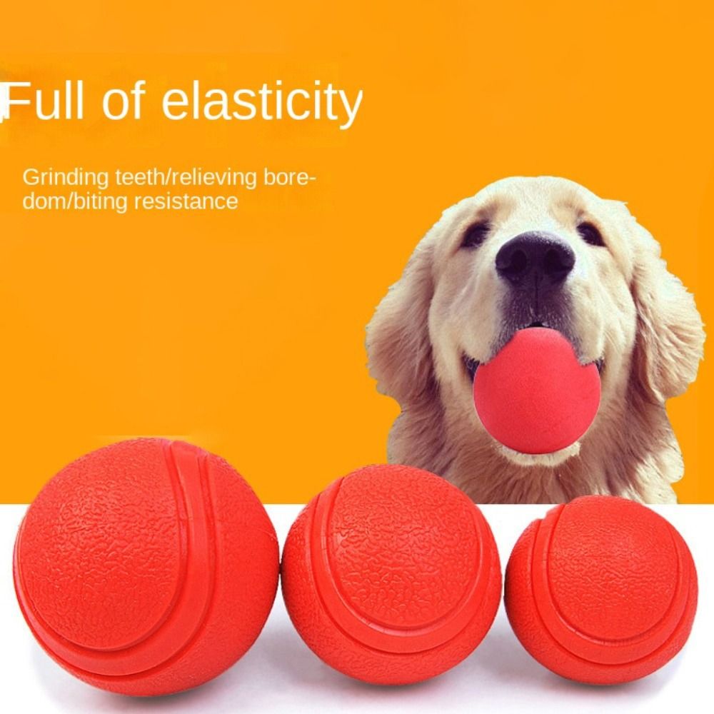 Pet Rubber Solid Ball Dog Trai – Indestructible Dog Chew Toy recenzja i cena