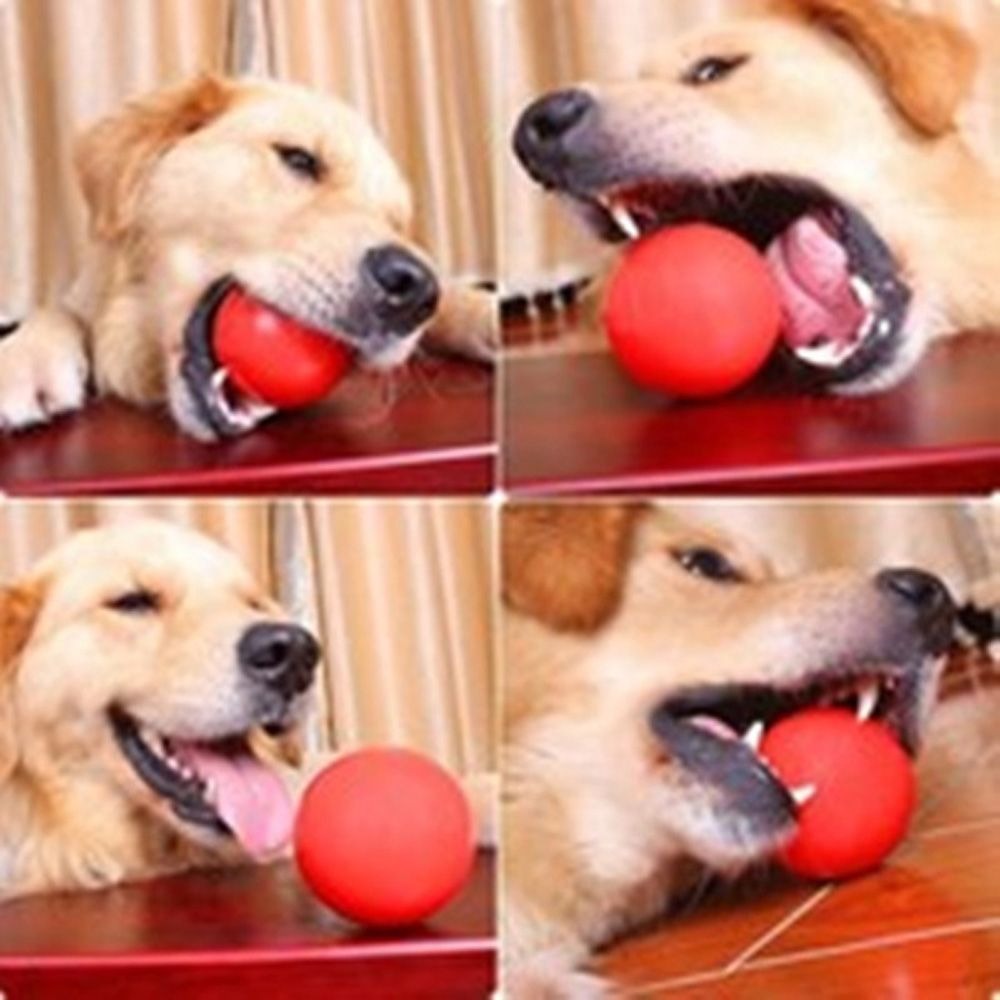 Pet Rubber Solid Ball Dog Trai – Indestructible Dog Chew Toy recenzja i cena