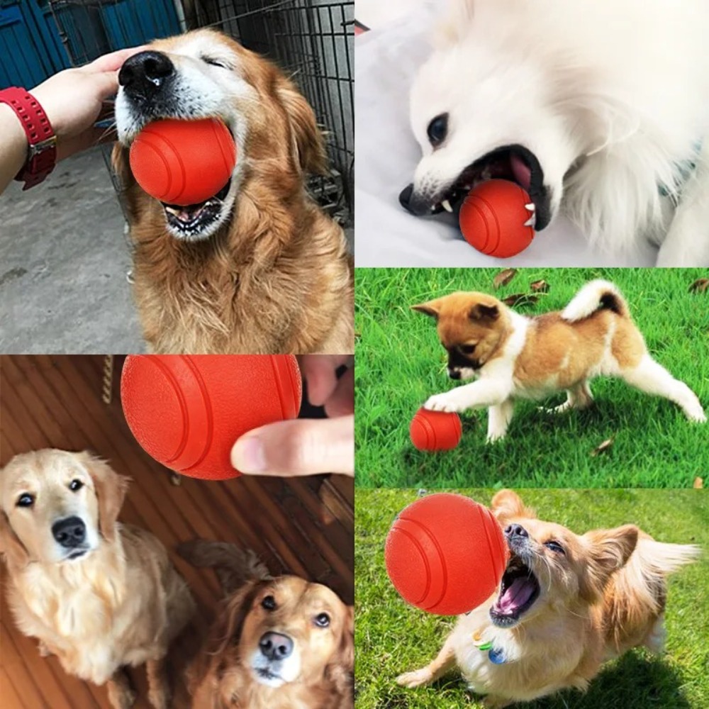 Pet Rubber Solid Ball Dog Trai – Indestructible Dog Chew Toy recenzja i cena